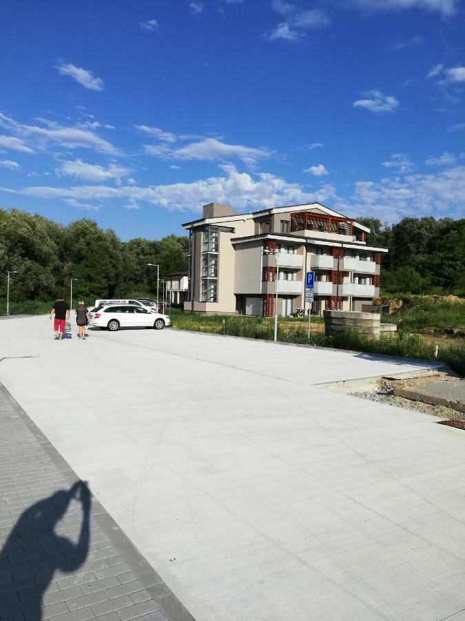 Diamond * Podhajska